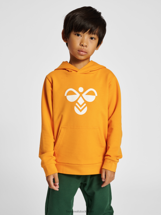 se Hummel barn hmlcuatro hoodie LL40V5203 "luvtröja"