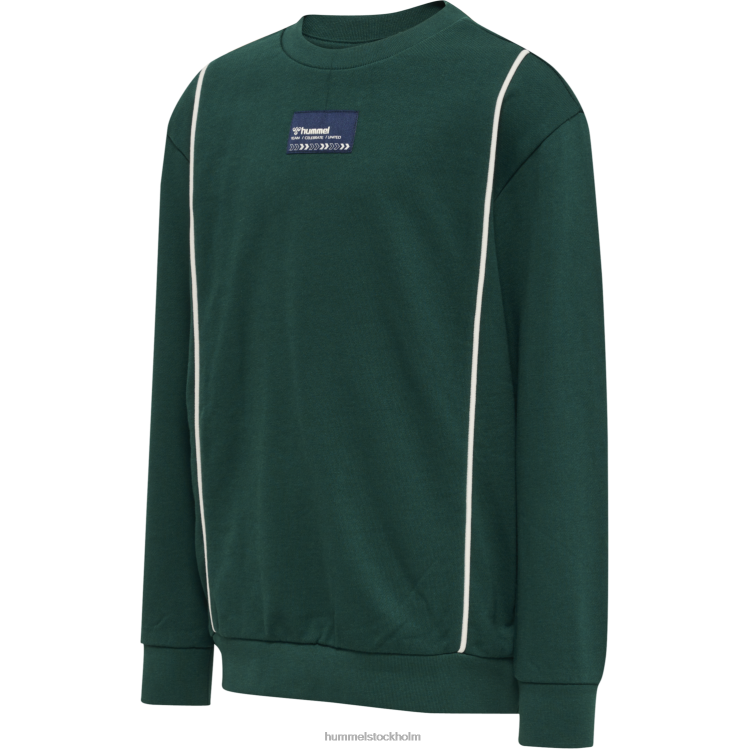 se Hummel barn hmlditmer sweatshirt LL40V5916 "tröja"
