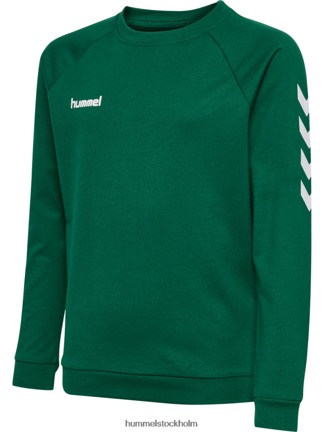 se Hummel barn hmlgo bomullströja LL40V6861