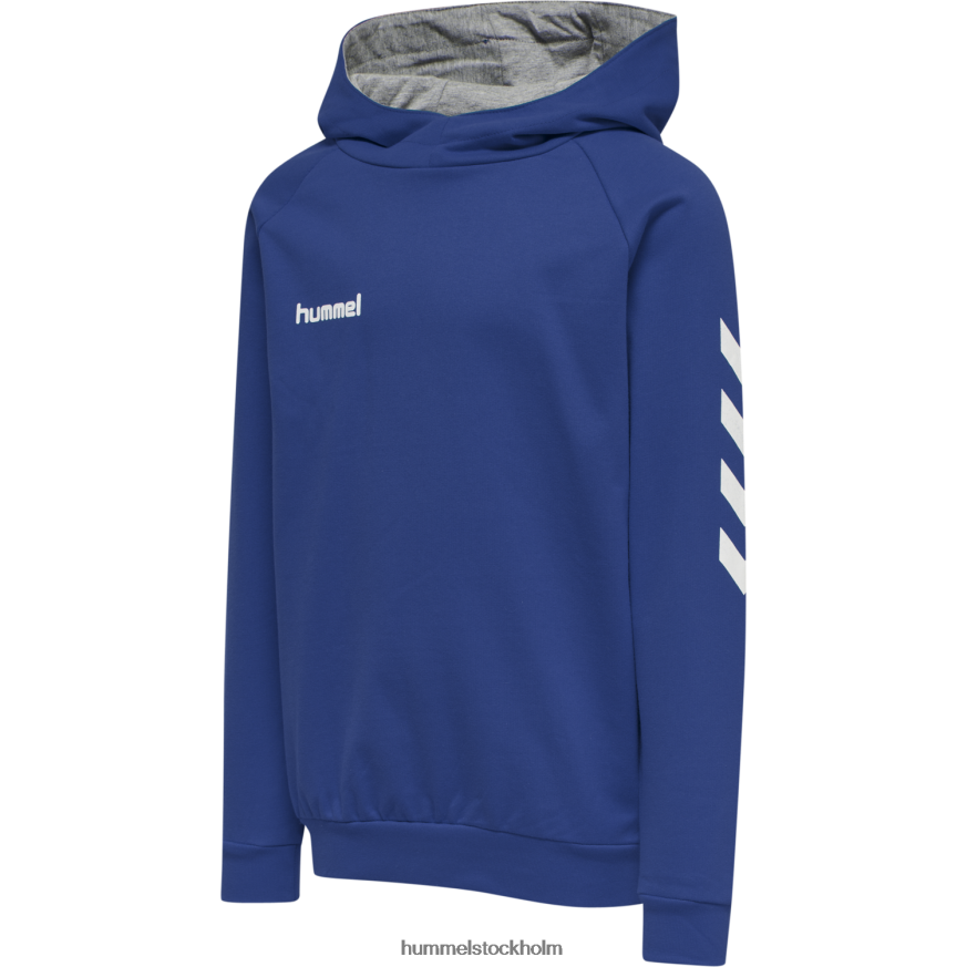 se Hummel barn hmlgo hoodie i bomull LL40V7019