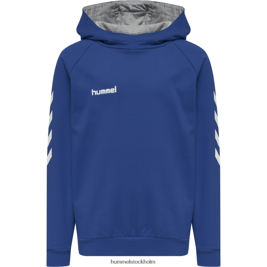 se Hummel barn hmlgo hoodie i bomull LL40V7019