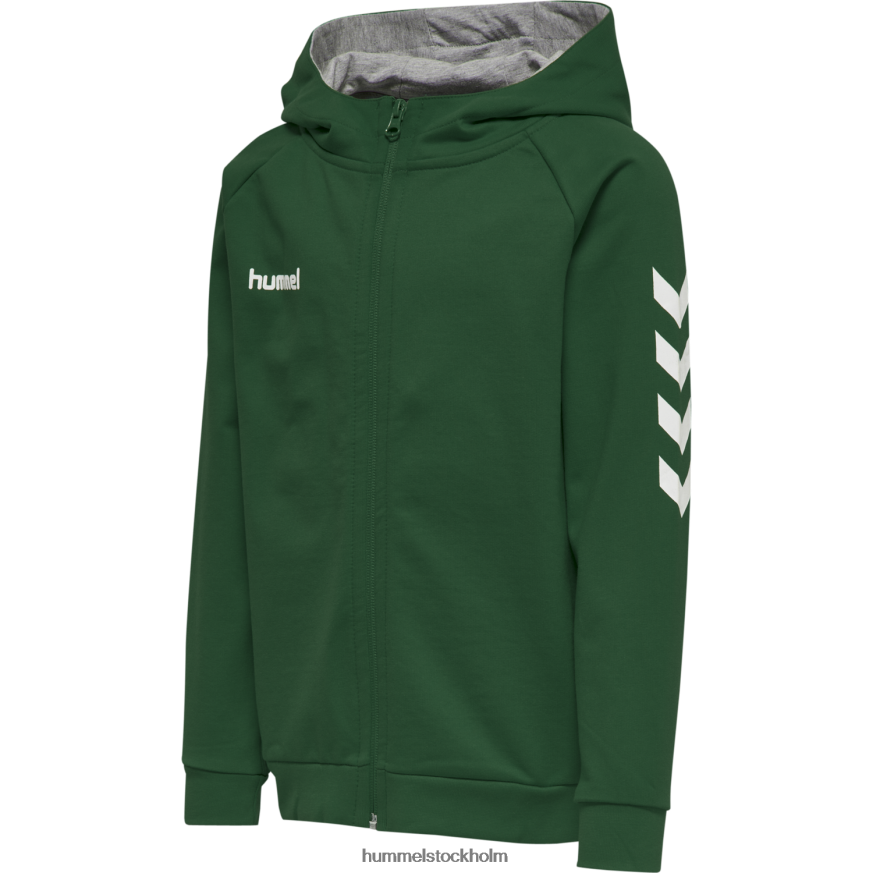 se Hummel barn hmlgo hoodie i bomull med dragkedja LL40V6796