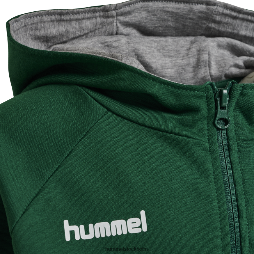 se Hummel barn hmlgo hoodie i bomull med dragkedja LL40V6796