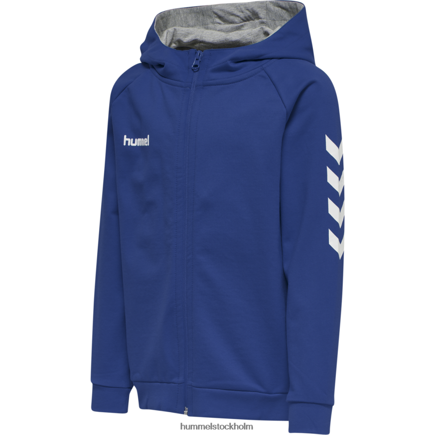 se Hummel barn hmlgo hoodie i bomull med dragkedja LL40V6866