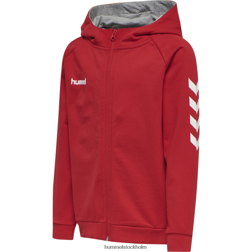 se Hummel barn hmlgo hoodie i bomull med dragkedja LL40V6936