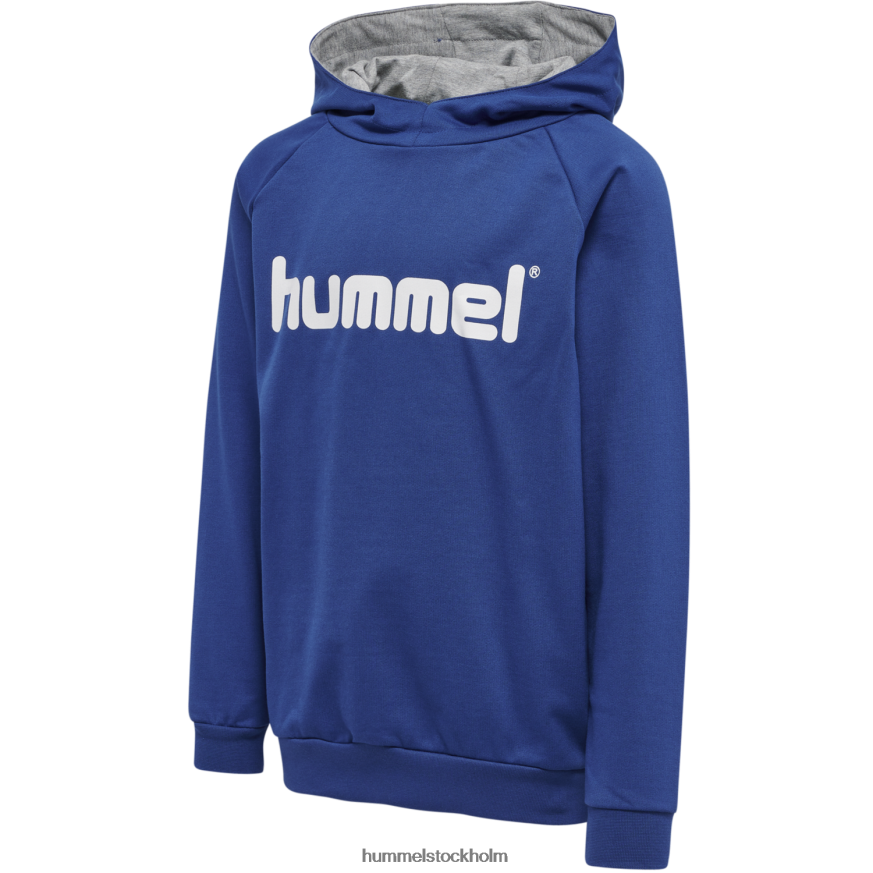 se Hummel barn hmlgo hoodie med logotyp i bomull LL40V6867
