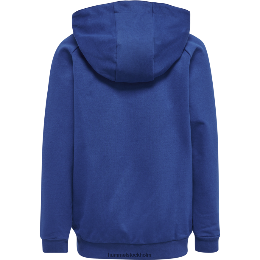 se Hummel barn hmlgo hoodie med logotyp i bomull LL40V6867