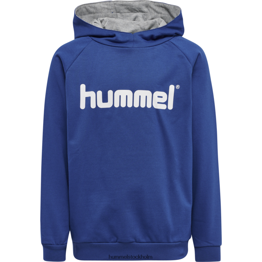se Hummel barn hmlgo hoodie med logotyp i bomull LL40V6867