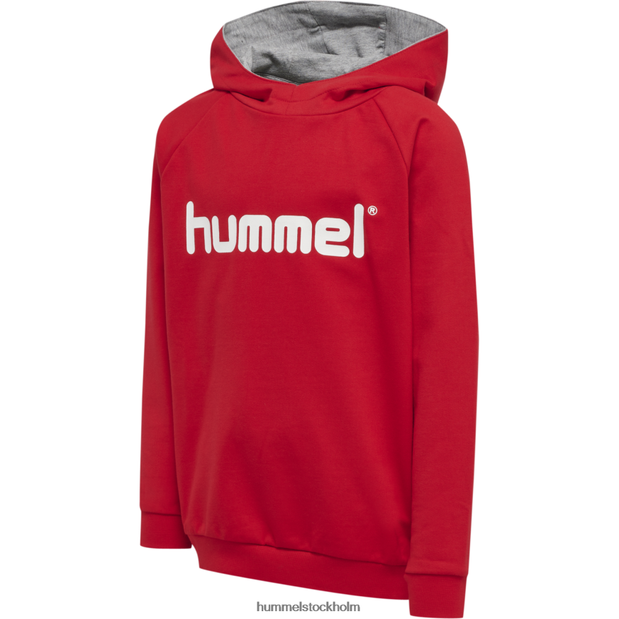 se Hummel barn hmlgo hoodie med logotyp i bomull LL40V6872