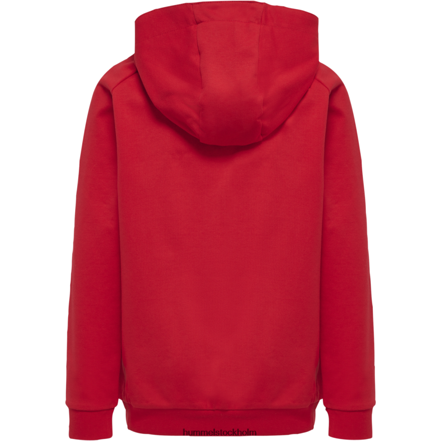 se Hummel barn hmlgo hoodie med logotyp i bomull LL40V6872