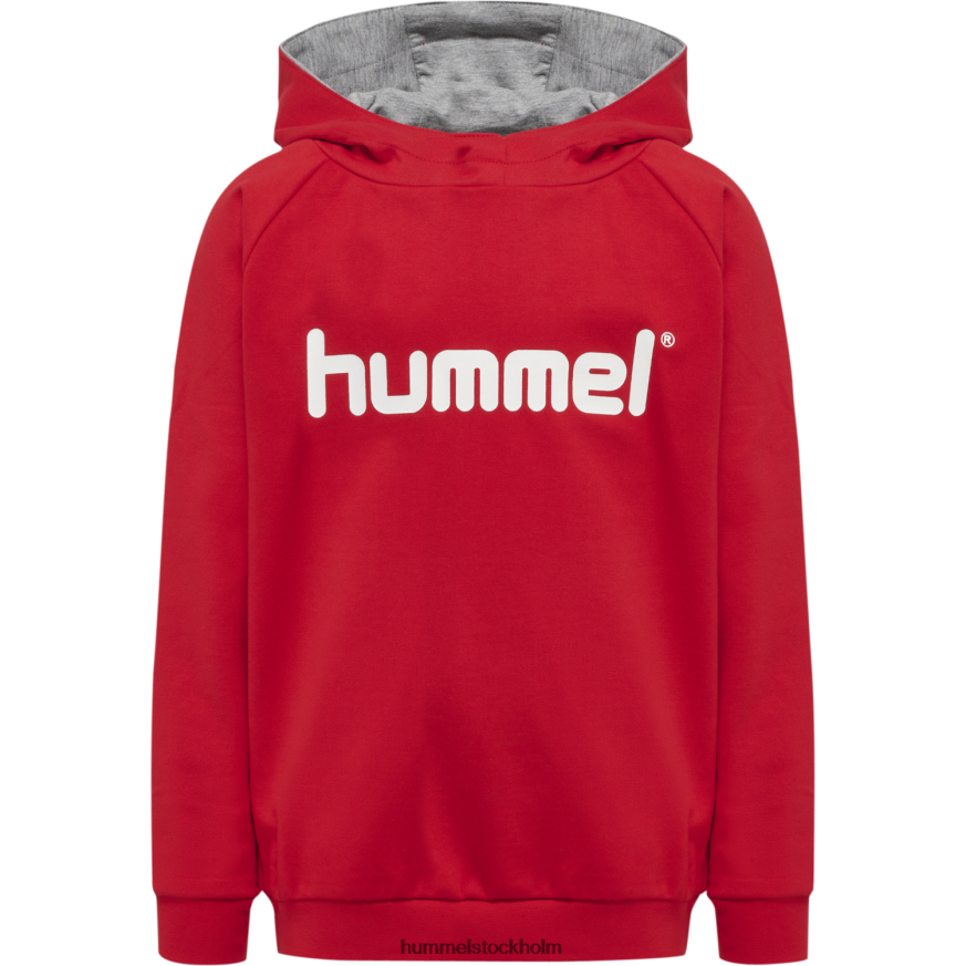 se Hummel barn hmlgo hoodie med logotyp i bomull LL40V6872