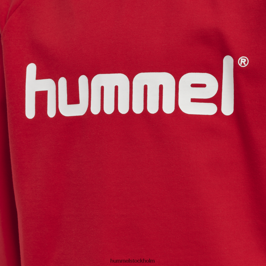 se Hummel barn hmlgo hoodie med logotyp i bomull LL40V6872