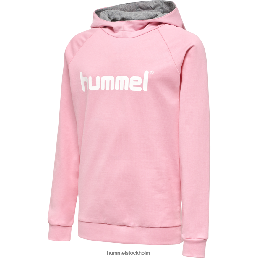 se Hummel barn hmlgo hoodie med logotyp i bomull LL40V6955