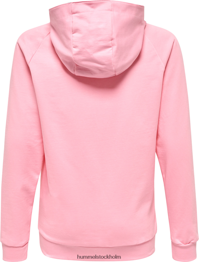 se Hummel barn hmlgo hoodie med logotyp i bomull LL40V6955