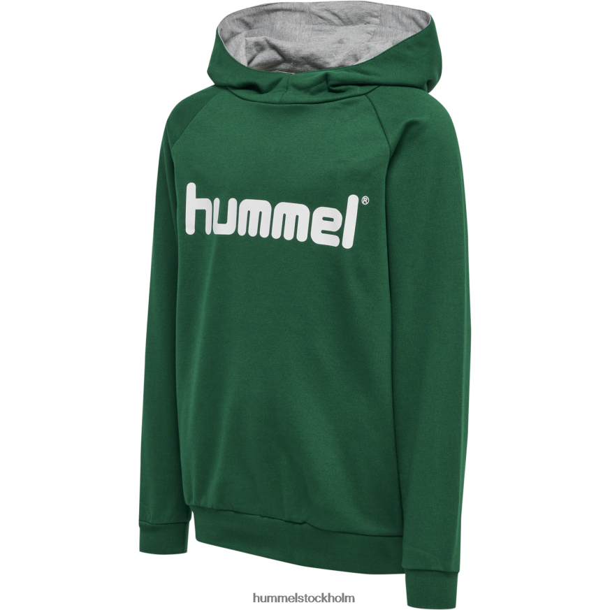 se Hummel barn hmlgo hoodie med logotyp i bomull LL40V6962