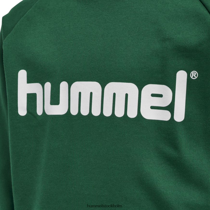 se Hummel barn hmlgo hoodie med logotyp i bomull LL40V6962