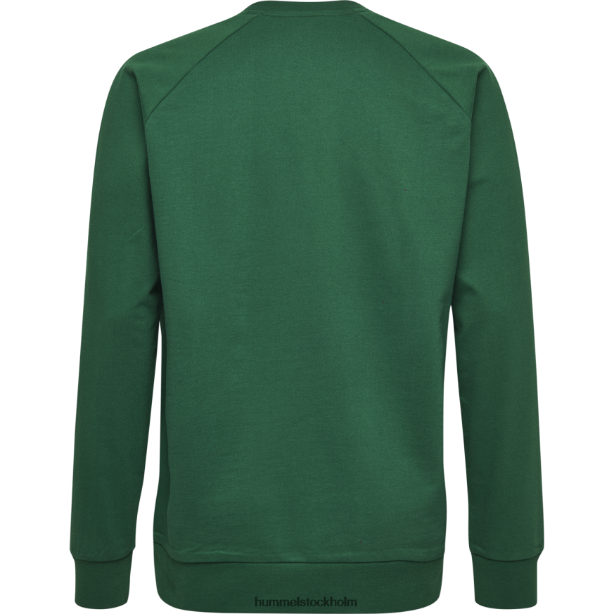 se Hummel barn hmlgo sweatshirt med logotyp i bomull LL40V6837