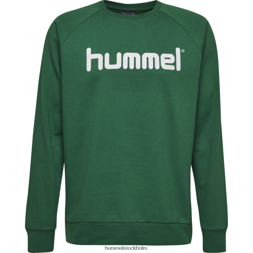 se Hummel barn hmlgo sweatshirt med logotyp i bomull LL40V6837