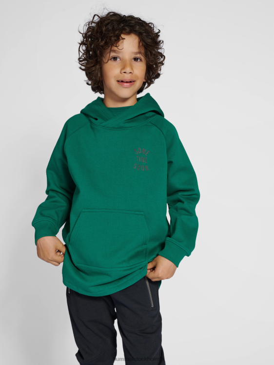 se Hummel barn stsmonterey hoodie LL40V5498 \"luvtröja\"