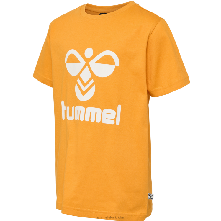 se Hummel barn hmltres t-shirt s/s 2-pack LL40V6240 \"t-shirt\"