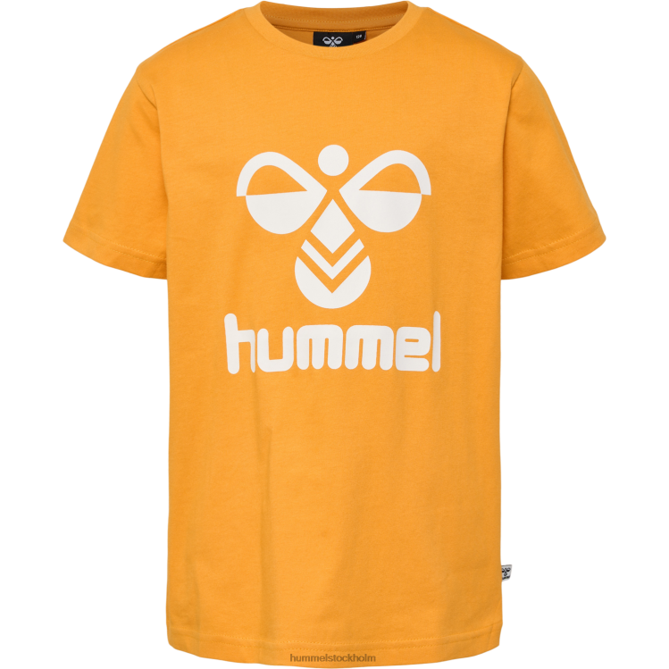 se Hummel barn hmltres t-shirt s/s 2-pack LL40V6240 \"t-shirt\"