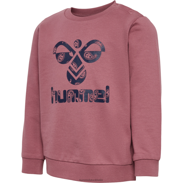 se Hummel barn hmlcitrus sweatshirt LL40V4254 "tröjor"