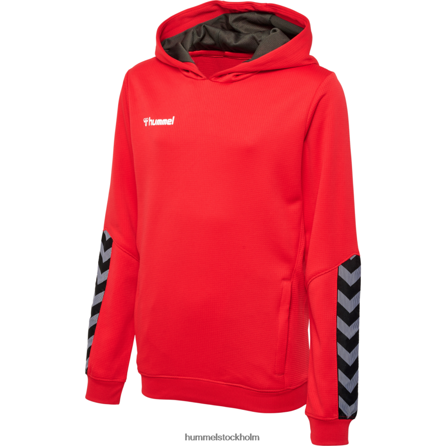 se Hummel barn hmautentisk poly hoodie LL40V6782