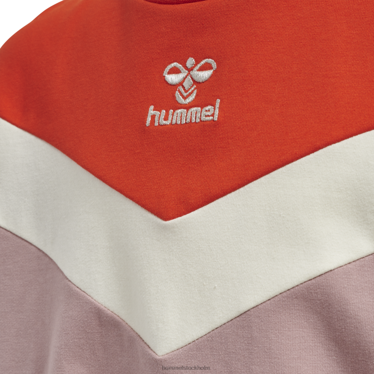 se Hummel barn hmlalvilda sweatshirt LL40V6123 \"tröja med hög hals\"