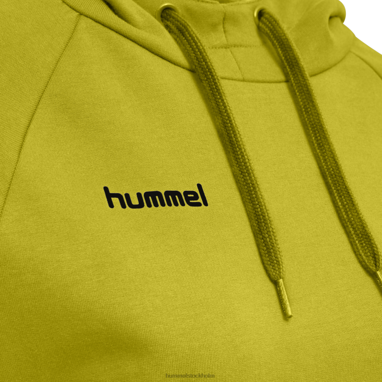 se Hummel kvinnor hmlgo hoodie i bomull LL40V3123 \"huvtröja med chevronärmar\"