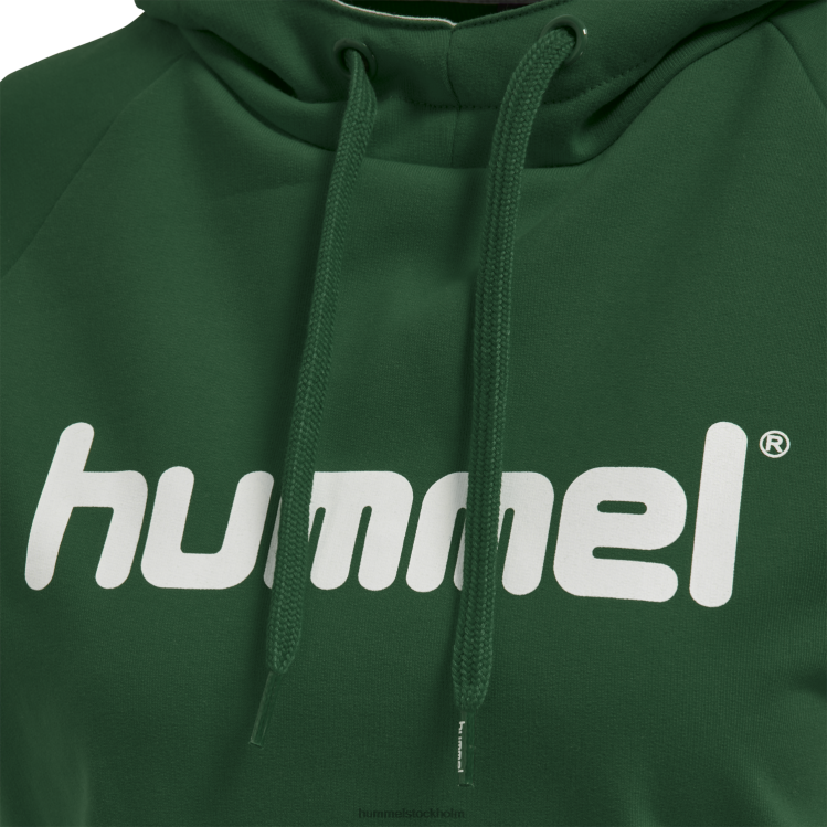 se Hummel kvinnor hmlgo hoodie med logotyp i bomull LL40V3759 \"Kläder\"
