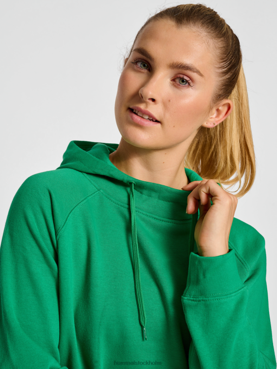 se Hummel kvinnor hmlröd klassisk hoodie LL40V2904 \"luvtröja\"