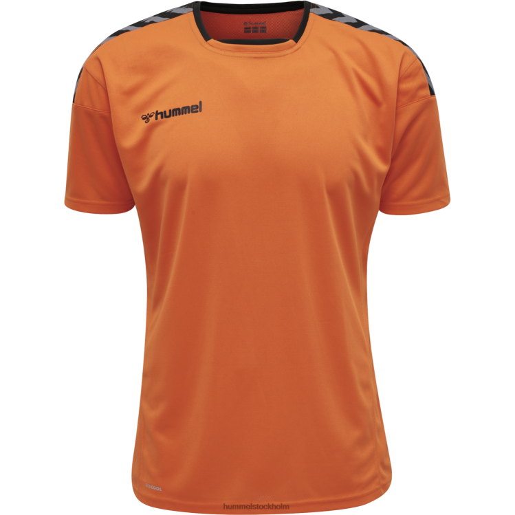 se Hummel män hmautentisk poly jersey s/s LL40V1520 \"sporttröja med chevrons\"