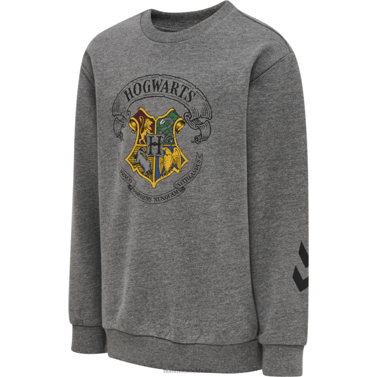 se Hummel unisex- hmlharry potter våren träningsoverall LL40V5177 \"svett träningsoverall\"