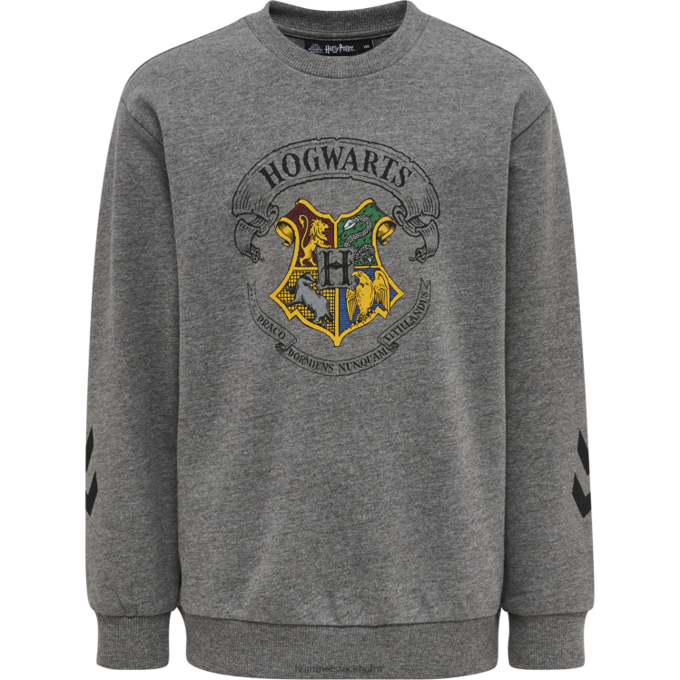 se Hummel unisex- hmlharry potter våren träningsoverall LL40V5177 \"svett träningsoverall\"