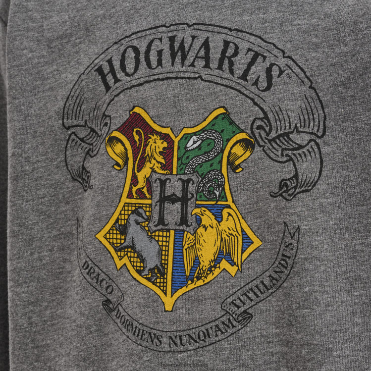 se Hummel unisex- hmlharry potter våren träningsoverall LL40V5177 \"svett träningsoverall\"